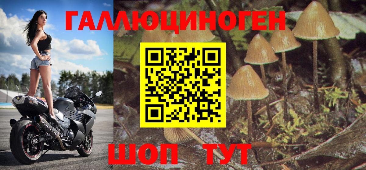 Галлюциногенные грибы Cubensis  Вход с VPN  Псилоцибиновые грибы Magic Shrooms  Александров 