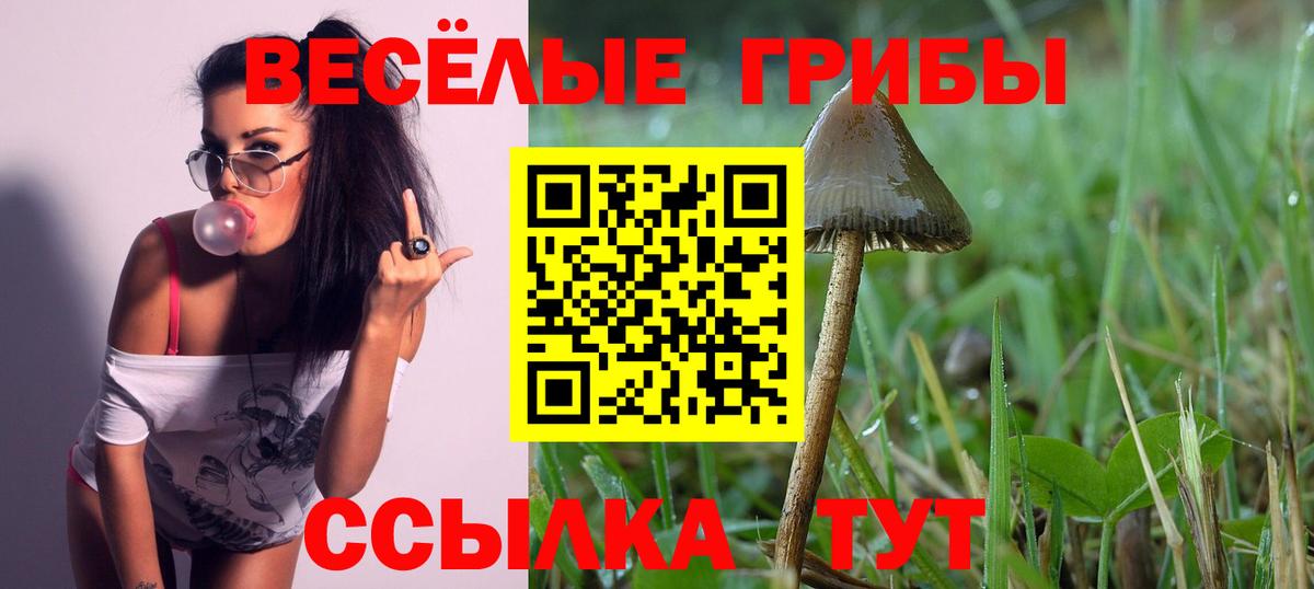 Псилоцибиновые грибы Psilocybe Александров